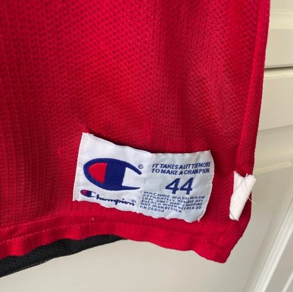 Champion Scottie Pippen chicago Bulls jersey champion size 44 large reversible - Picture 4 of 9